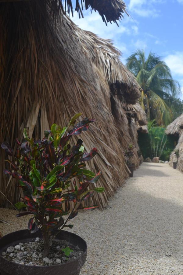 Hakuna Matata Glamping Bacalar Exterior photo